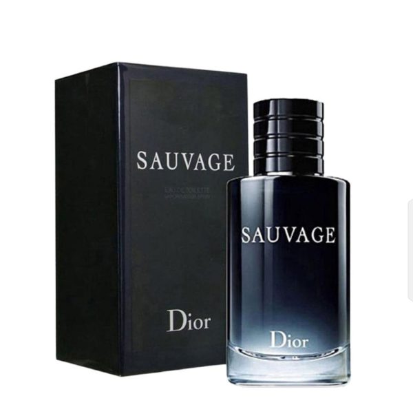 Sauvage Dior 100ml Perfume | Long Lasting Fragrance